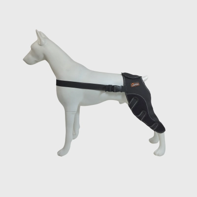 Knee Brace for Dogs 01