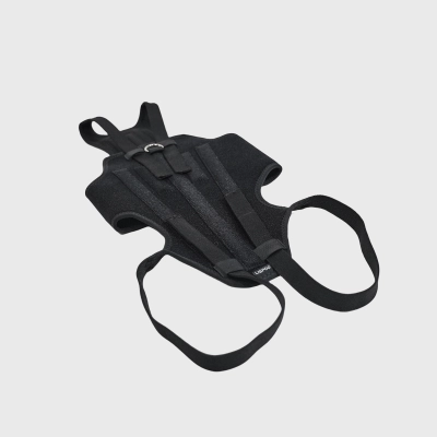 Dog Back Brace for IVDD 02