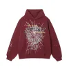 SP5DER Hoodie D3060,Pants D227