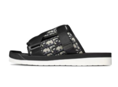 LJR Dior Alpha oblique Half Flower 3SN272ZIR 16536