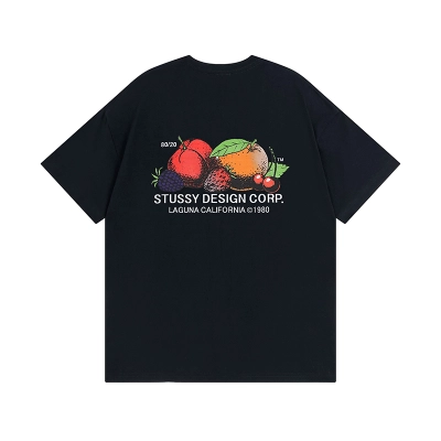 Stussy T-Shirt XB955 02