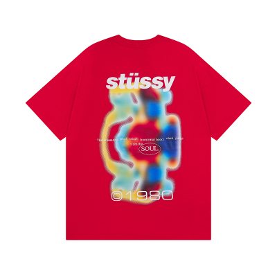 Stussy T-Shirt XB962 01