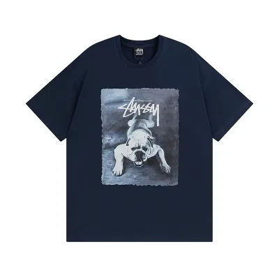Stussy T-Shirt XB978 02