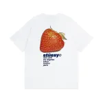 Stussy T-Shirt XB848