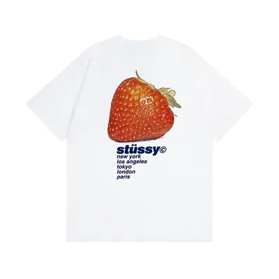 Stussy T-Shirt XB848 01