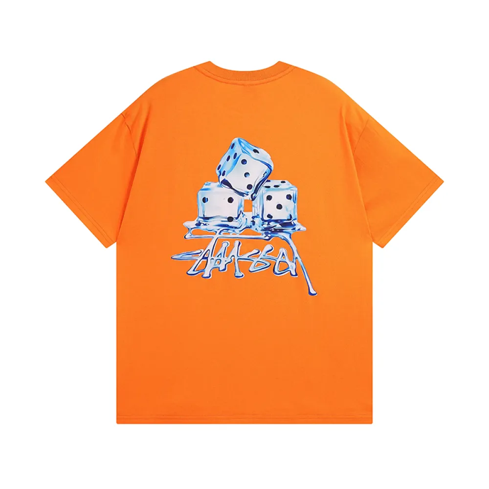 Stussy T-Shirt XB947