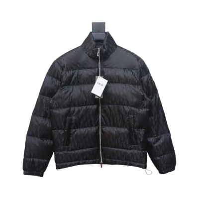 Dior Oblique Down Jacket 01