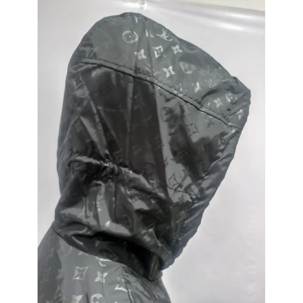 Louis Vuitton-203723 Hoodie