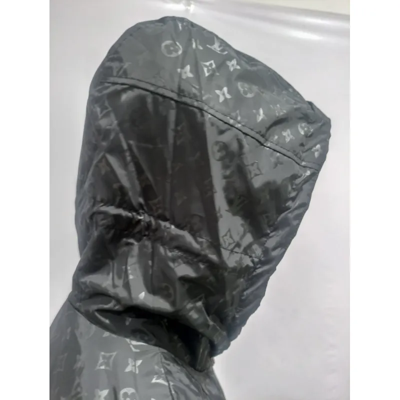 Louis Vuitton-203723 Hoodie