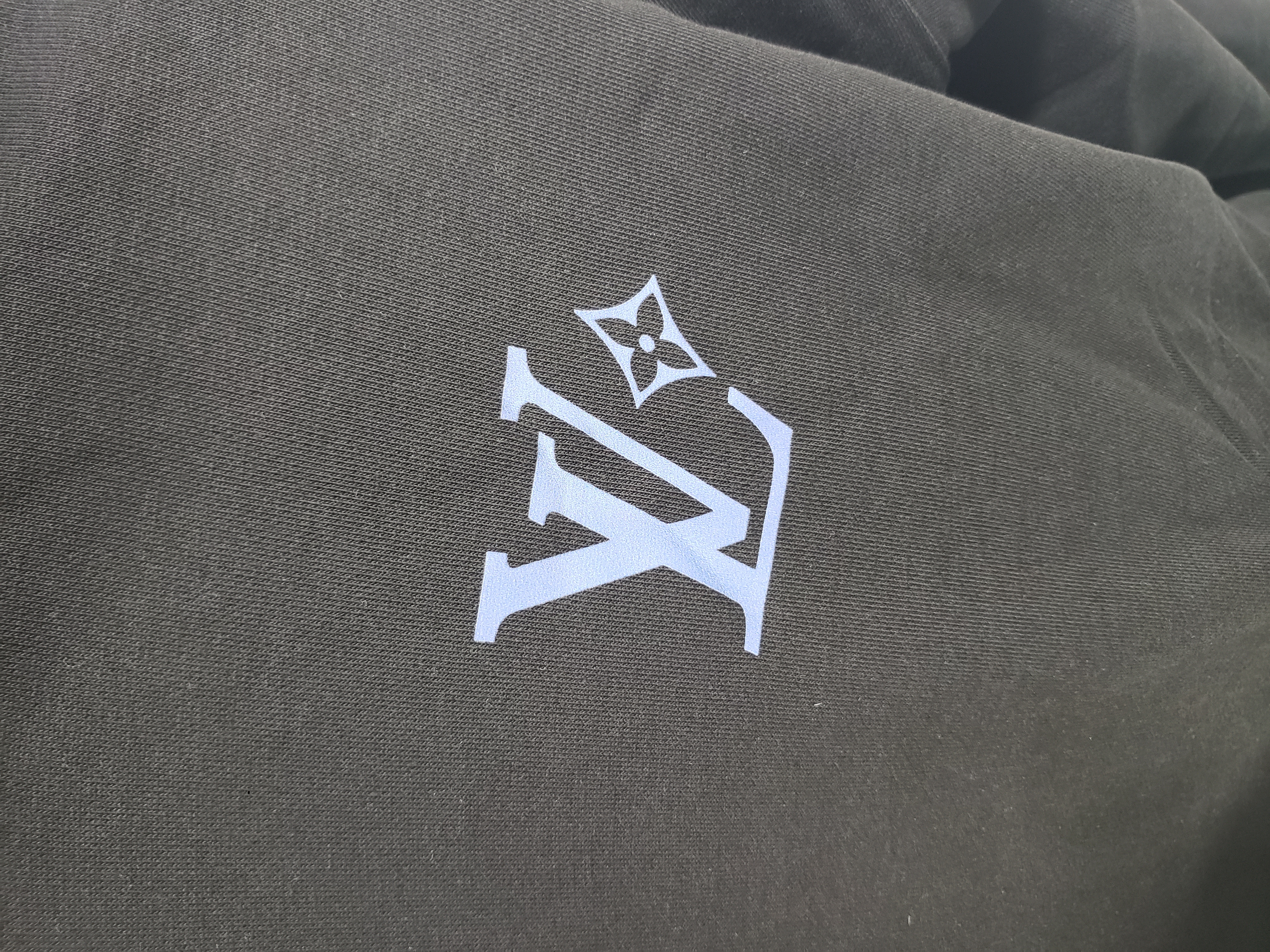 Louis Vuitton-203753 Hoodie