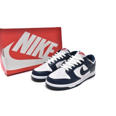 Dunk Low Valerian Blue Replica,DD1391-400 02