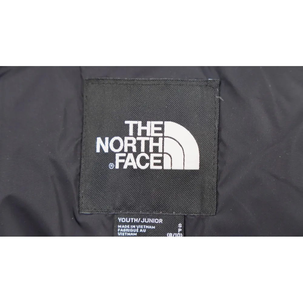 TheNorthFace Black and Blackish Purple