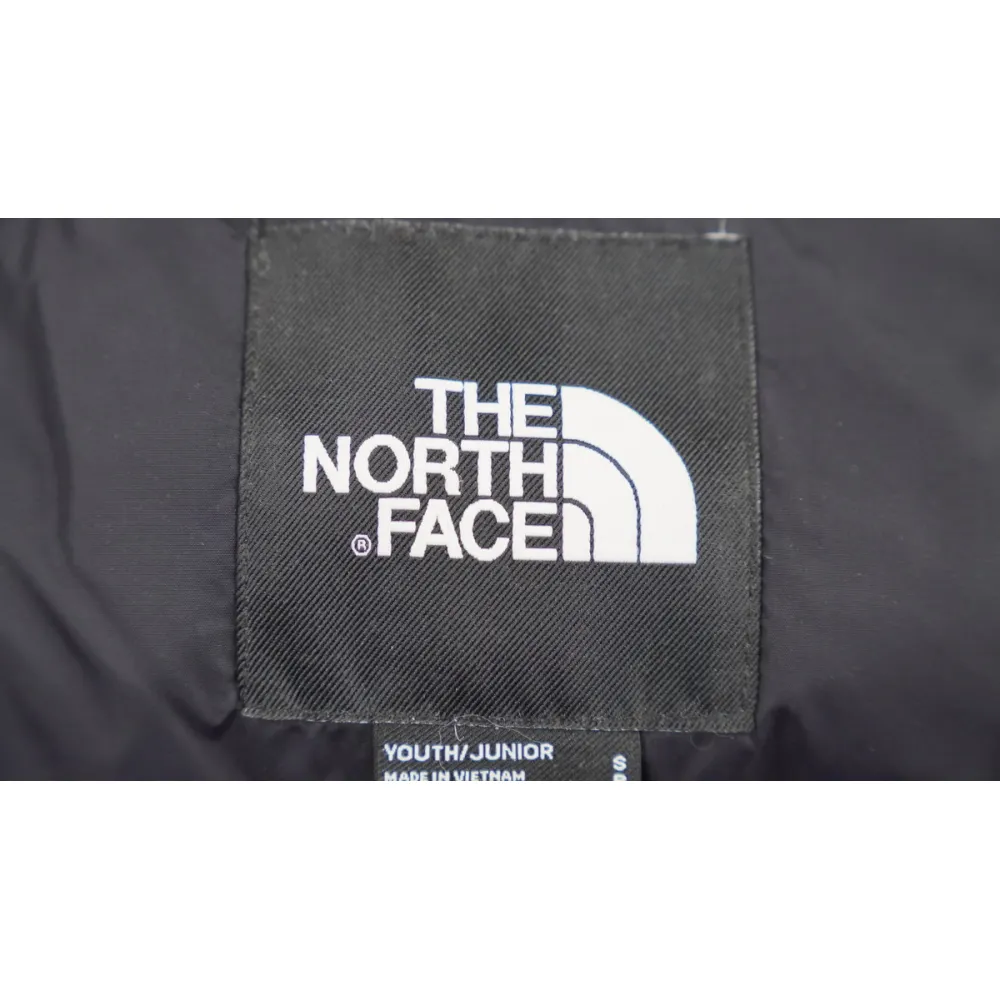 TheNorthFace Black and Blackish Mustard Green