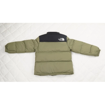 TheNorthFace Black and Blackish Mustard Green 02