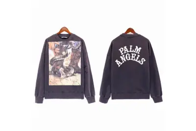  Palm Angels hoodie,brt7541 01