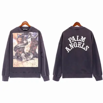 Palm Angels hoodie,brt7541 01