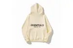 Essentials Hoodie ldtx902