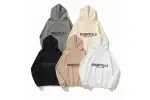 Essentials Hoodie ldtx902