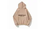 Essentials Hoodie ldtx902