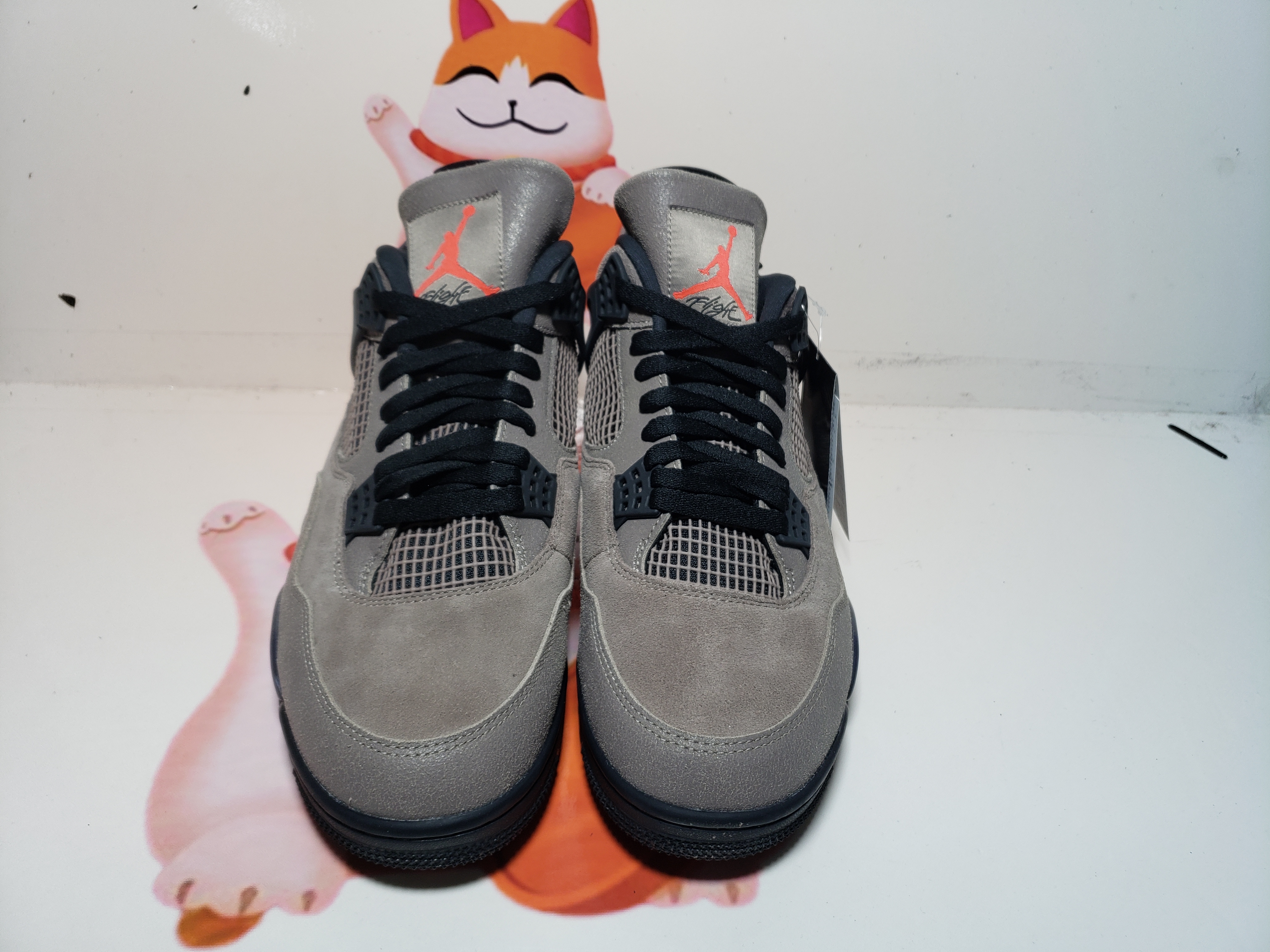 PKGoden Jordan 4 Retro Taupe Haze DB0732-200