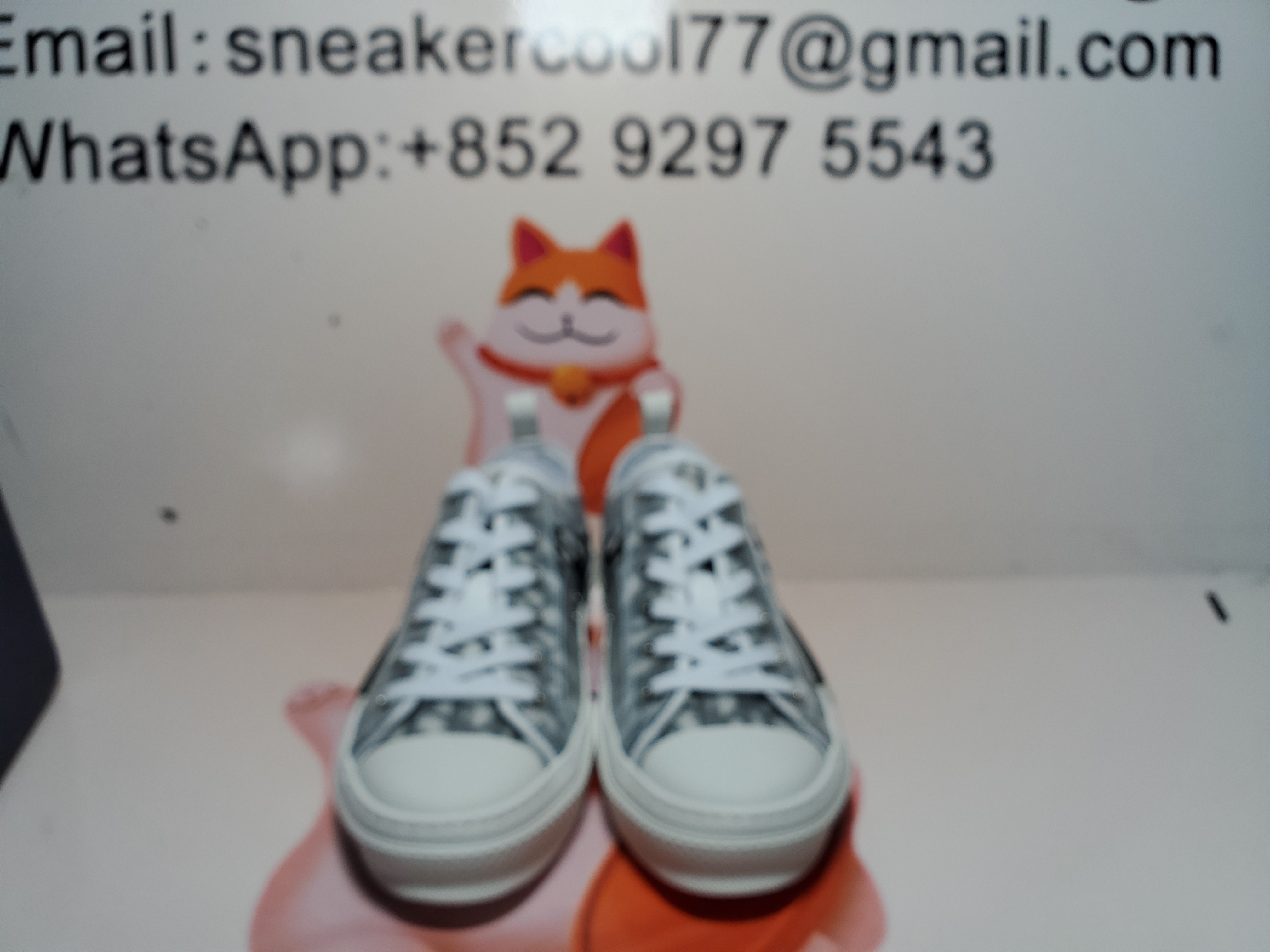 PKGoden  Dior B23 HT Oblique Transparency Low H565 White Black