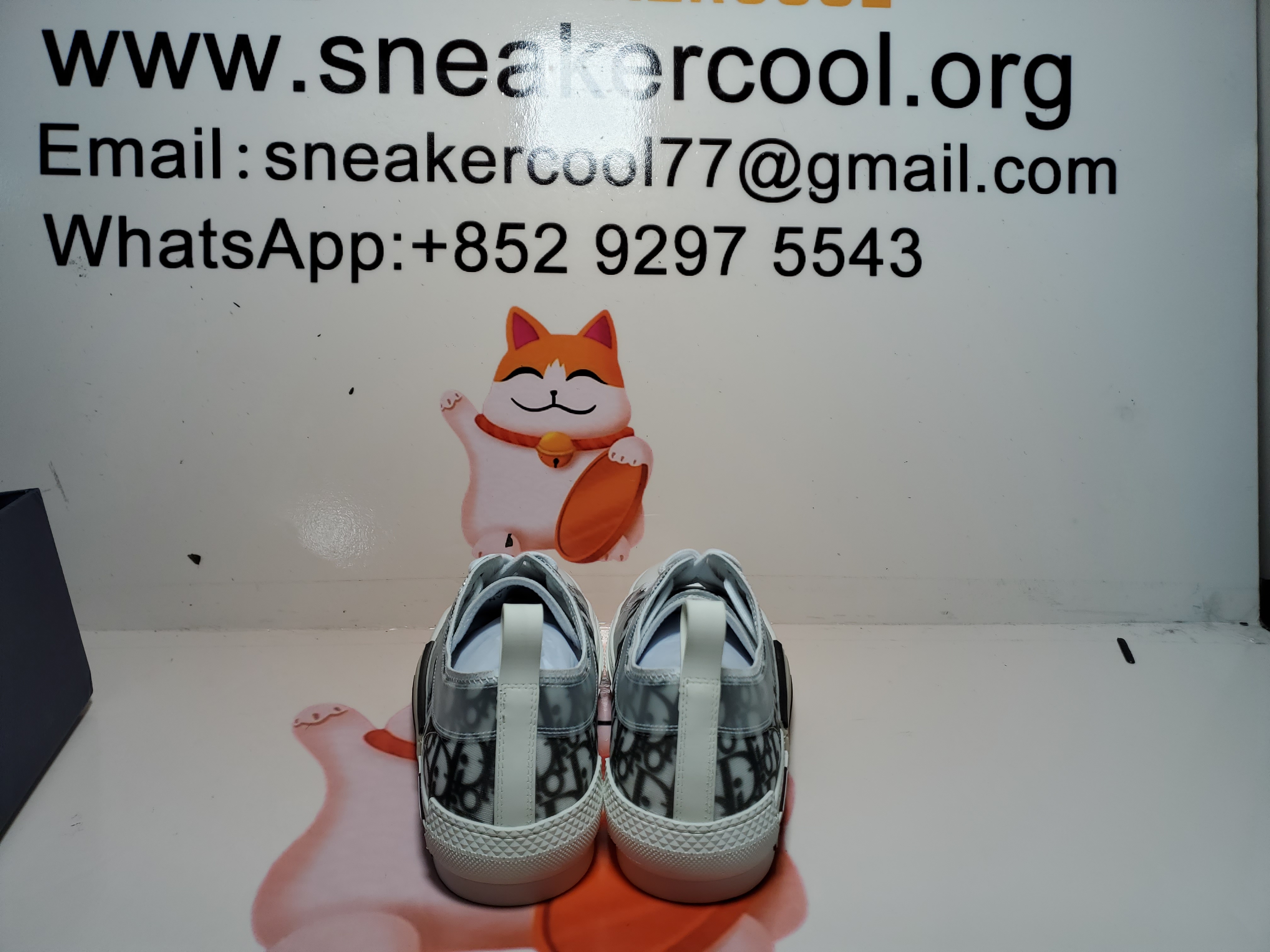 PKGoden  Dior B23 HT Oblique Transparency Low H565 White Black