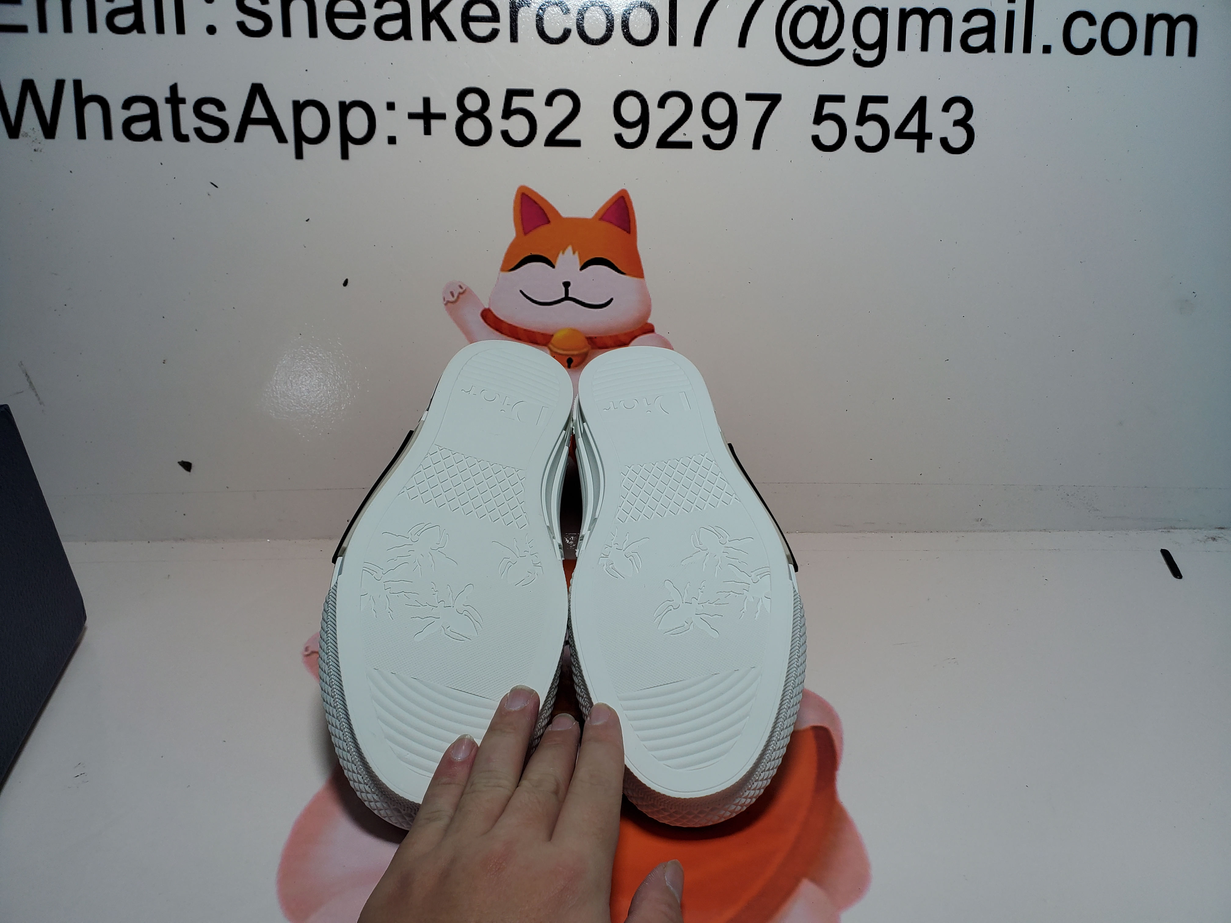 PKGoden  Dior B23 HT Oblique Transparency Low H565 White Black