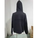 FOG Essentials hoodie ldtx 920