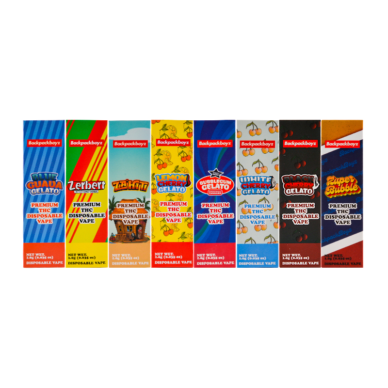 Premium thc Backpackboyz vape rechargeable empty 1ml