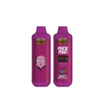 USA STOCK New Packman mini empty 2G disposable vape pens with digital screen