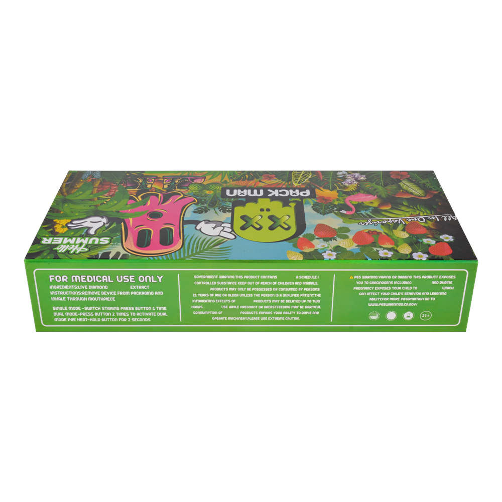 Poland Warehouse Packman Summer Edition 2G With Screen 200pcs/Lot