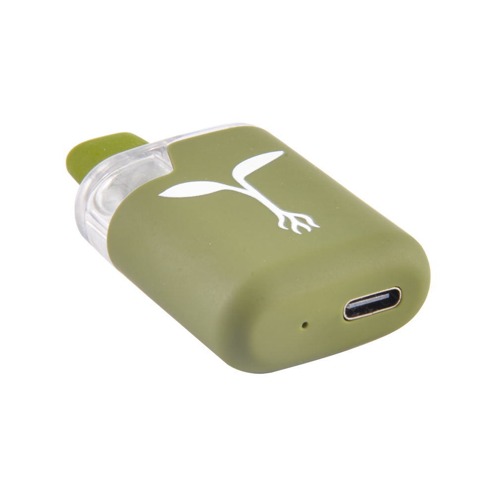 raw garden 2g AIO disposable vape
