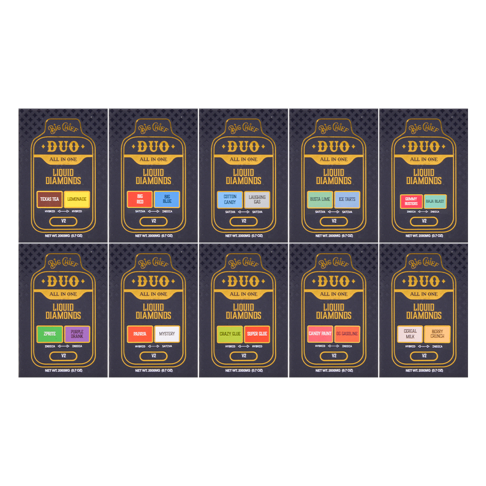 USA Stock Big Chief Duo V2 2g Disposable Vape