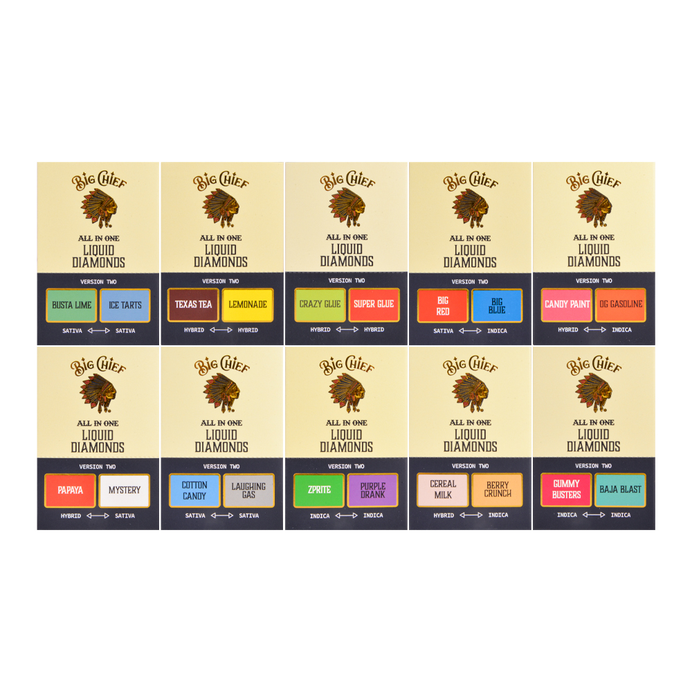 USA Stock Big Chief Duo V2 2g Disposable Vape