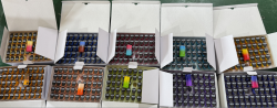 USA Stock Melt X Packman 1G Disposable Vape Pen 200pcs/Lot review Delina33 03
