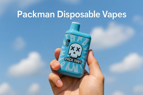 Packman Disposable Vapes: A Comprehensive Buyer’s Guide