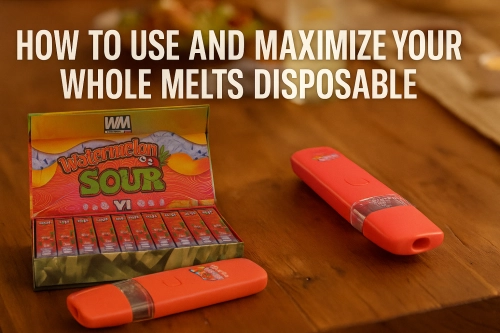 How to Use and Maximize Your Whole Melts Disposable: Tips for First-Time Users