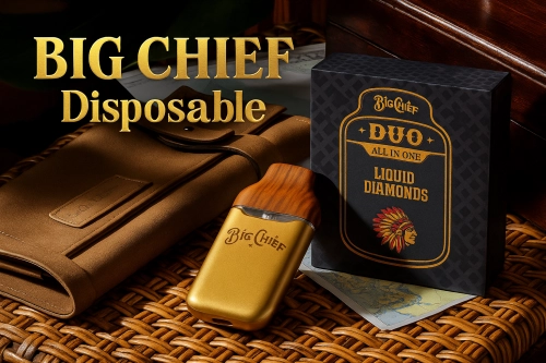 Big Chief Carts vs. Disposables: Comparing Features, Performance, and Value