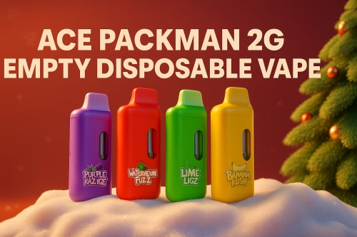 Ace Packman 2G Empty Disposable Vape Buyers Guide to Features and QC Checks