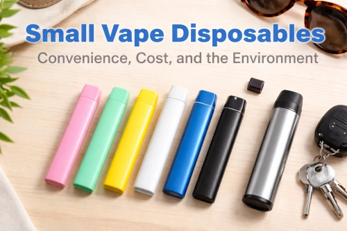 Small Vape Disposables Convenience Cost and the Environment