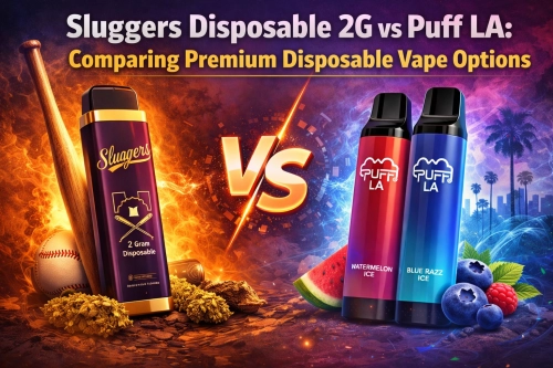 Sluggers Disposable 2G vs Puff LA: Comparing Premium Disposable Vape Options