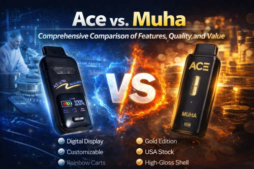 Ace vs. Muha: Comprehensive Comparison of Features, Quality, and Value
