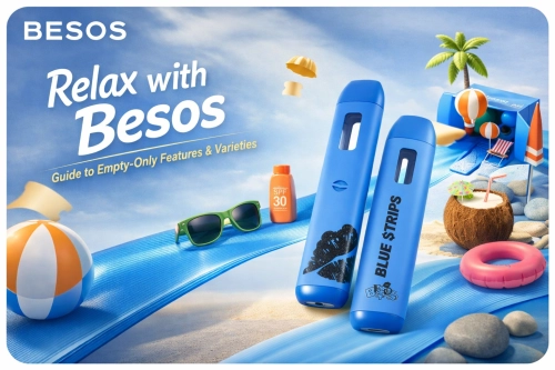 Besos Disposable Guide (Empty Only): Features, Varieties & Usage