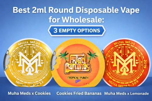 Best 2ml Round Disposable Vape for Wholesale: 3 Empty Comparisons