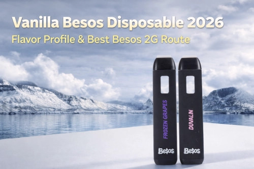 Vanilla Besos Disposable: 2026 Flavor Profile & Best Besos 2G Route