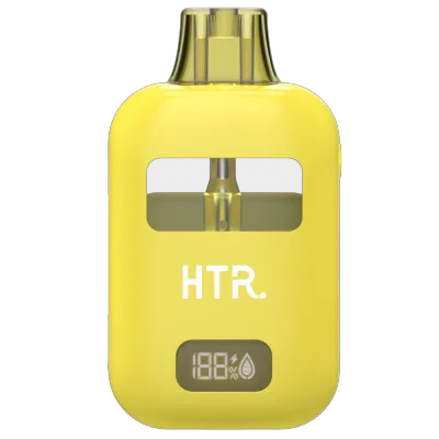 HTR 5ml with battery digital screen disposable vape pen 042 02