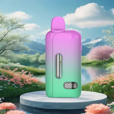 Custom 5ml Disposable Vape With Screen 5g Cbd Dispo With Smart Screen 5 Gram Vapes 176 02