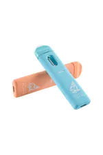 got melt disposable vape pen
