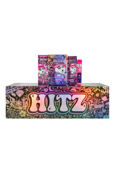 USA STOCK HITZ 2g Disposable vape pen 01