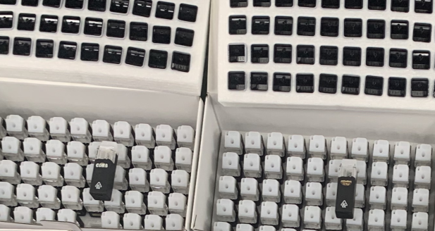 2g New Jungle Boys Disposable Vape Pen  review 0